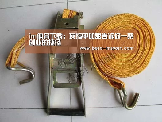 im体育首页