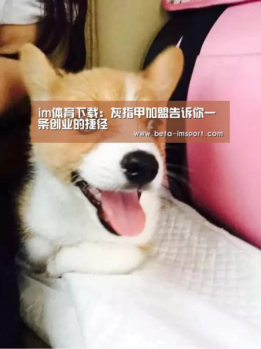 im体育首页