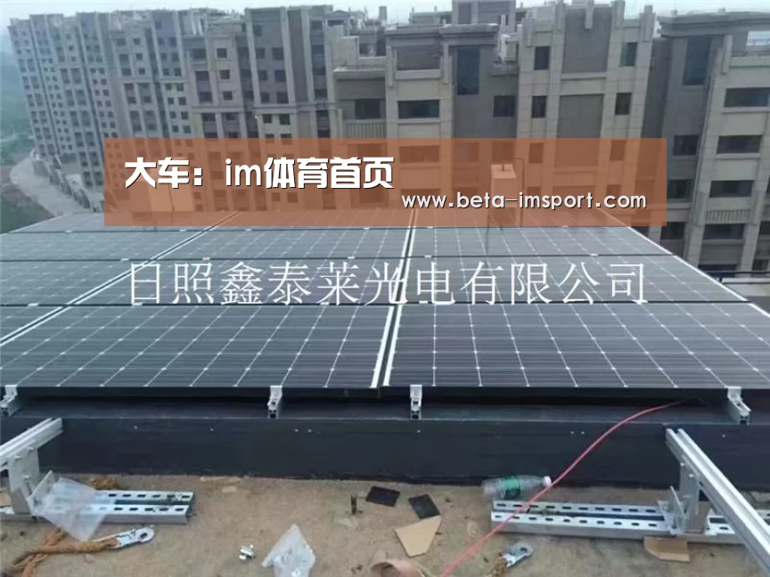 im体育下载