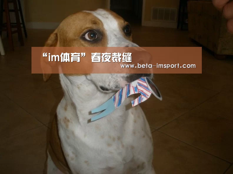 im体育首页