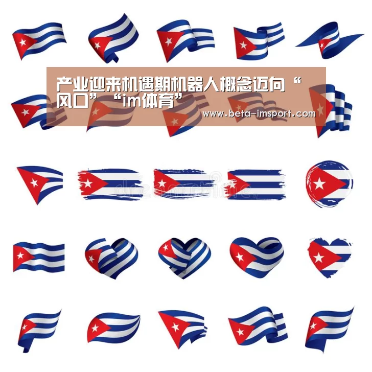 im体育首页
