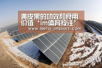 im体育下载