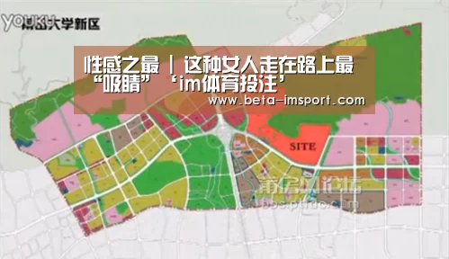 im体育