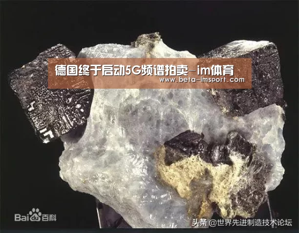 im体育下载